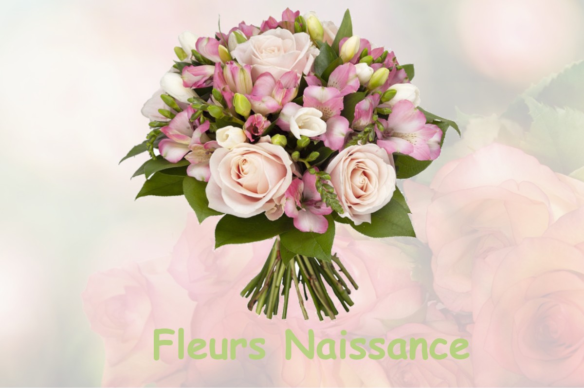 fleurs naissance SAINT-ETIENNE-DU-GUE-DE-L-ISLE